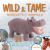 Wild and Tame Needlefelt Animals : 24 Adorable Animals to Needlefelt with Wool