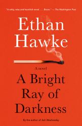 A Bright Ray of Darkness : A Novel