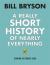 A Really Short History of Nearly Everything