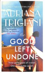 The Good Left Undone : A Novel