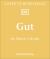 Gut : An Owner's Guide