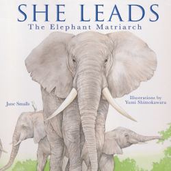 She Leads : The Elephant Matriarch