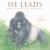 He Leads : Mountain Gorilla, the Gentle Giant