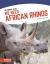 We Need African Rhinos