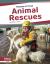 Animal Rescues