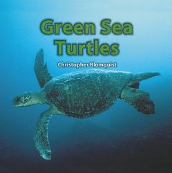 Green Sea Turtles