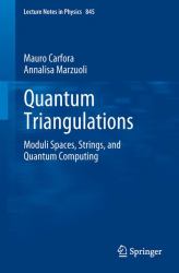 Quantum Triangulations : Moduli Spaces, Strings, and Quantum Computing