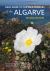 Field Guide to the Wild Flowers of the Algarve : Second Edition