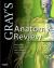 Gray's Anatomy Review