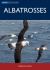 Albatrosses