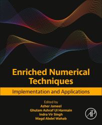 Enriched Numerical Techniques : Implementation and Applications