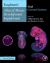 Kaufman's Atlas of Mouse Development Supplement : With Coronal Sections