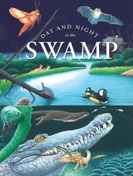 Day and Night in Swamp