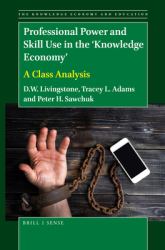 Professional Power and Skill Use in the 'Knowledge Economy' : A Class Analysis