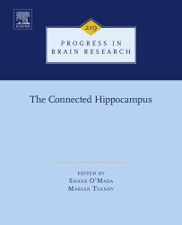 Connected Hippocampus