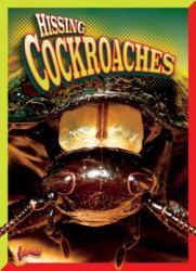 Hissing Cockroaches