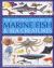 The Natural History of Marine Fish and Sea Creatures : An Authoritative Guide to the Fascinating Diversity of Saltwater Aquatic Life