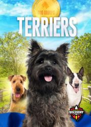 Terriers