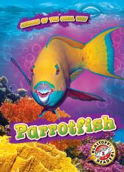 Parrotfish