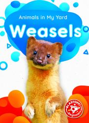 Weasels