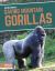 Saving Mountain Gorillas