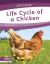 Life Cycle of a Chicken