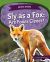 Sly As a Fox : Are Foxes Clever?