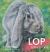 Lop Felt Worried