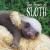 One Shot : The Power of Sloth One Shot: the Power of Sloth