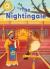 Reading Champion: the Nightingale : Independent Reading Gold 9