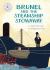 Brunel and the Steamboat Stowaway : Independent Reading White 10