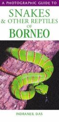 Snakes and Other Reptiles of Borneo