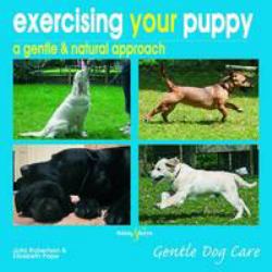 Exercising your puppy