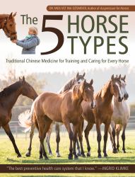 5 Horse Types : Your Horse's Personality According to Traditional Chinese Medicine