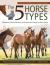 5 Horse Types : Your Horse's Personality According to Traditional Chinese Medicine