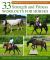 33 Strength and Fitness Workouts for Horses : Practical Conditioning Plans Using Groundwork, Ridden Work, Poles, Hills, and Terrain: 50+ Exercises, Workouts and Fitness Schedules