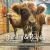 Buckley the Highland Cow and Ralphy the Goat : A True Story about Kindness, Friendship, and Being Yourself