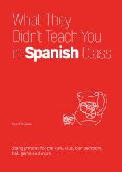 What They Didn't Teach You in Spanish Class : Slang Phrases for the Cafe, Club, Bar, Bedroom, Ball Game and More