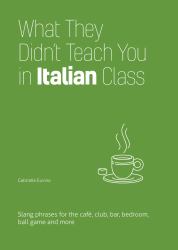 What They Didn't Teach You in Italian Class : Slang Phrases for the Cafe, Club, Bar, Bedroom, Ball Game and More