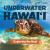 Underwater Hawai'i: Exploring the Reef : A Children's Picture Book about Hawai'i