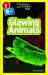 Glowing Animals