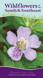 Wildflowers of the South and Southeast : Your Way to Easily Identify Wildflowers