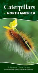 Caterpillars of North America : Easily Identify 90 Common Butterflies and Moths