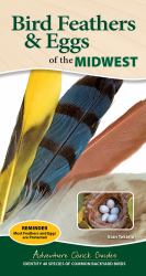 Bird Feathers and Eggs of the Midwest : Identify 40 Species of Common Backyard Birds