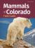 Mammals of Colorado Field Guide