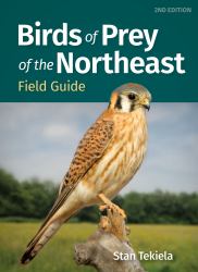 Birds of Prey of the Northeast Field Guide