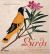 Birds : The Art of Ornithology