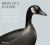 Birds of a Feather : Wildfowl Decoys at Shelburne Museum