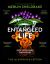 Entangled Life : How Fungi Make Our Worlds, Change Our Minds and Shape Our Futures - the Illustrated Edition