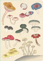 Healing Mushrooms Lined Paperback Journal : Blank Notebook with Pocket